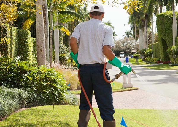 About Fox OK Pest Control